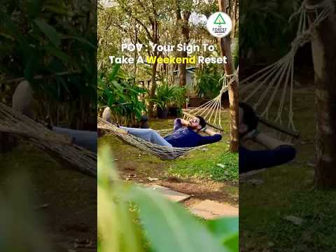 The Forest Club Resort portfolio thumbnail - Travel & Hospitality project with 2 videos