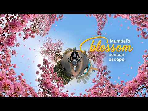 Video thumbnail for The Himalayan Series Video 4 - Automotive & Motion